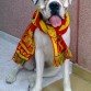 Nala con la roja!!